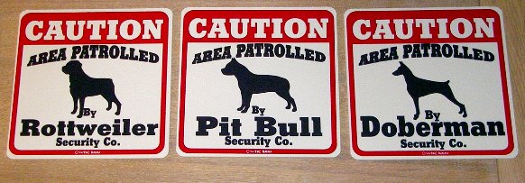 pitbull
